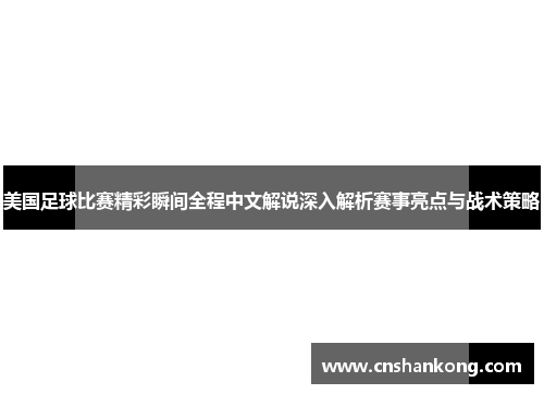 美国足球比赛精彩瞬间全程中文解说深入解析赛事亮点与战术策略
